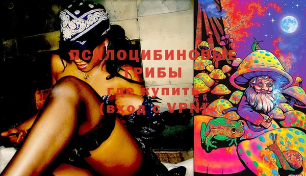 кокс Алзамай