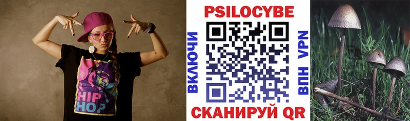Купить где  Петропавловск-Камчатский  Галлюциногенные грибы Psilocybine cubensis 
