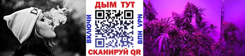 Каннабис Amnesia Петропавловск-Камчатский